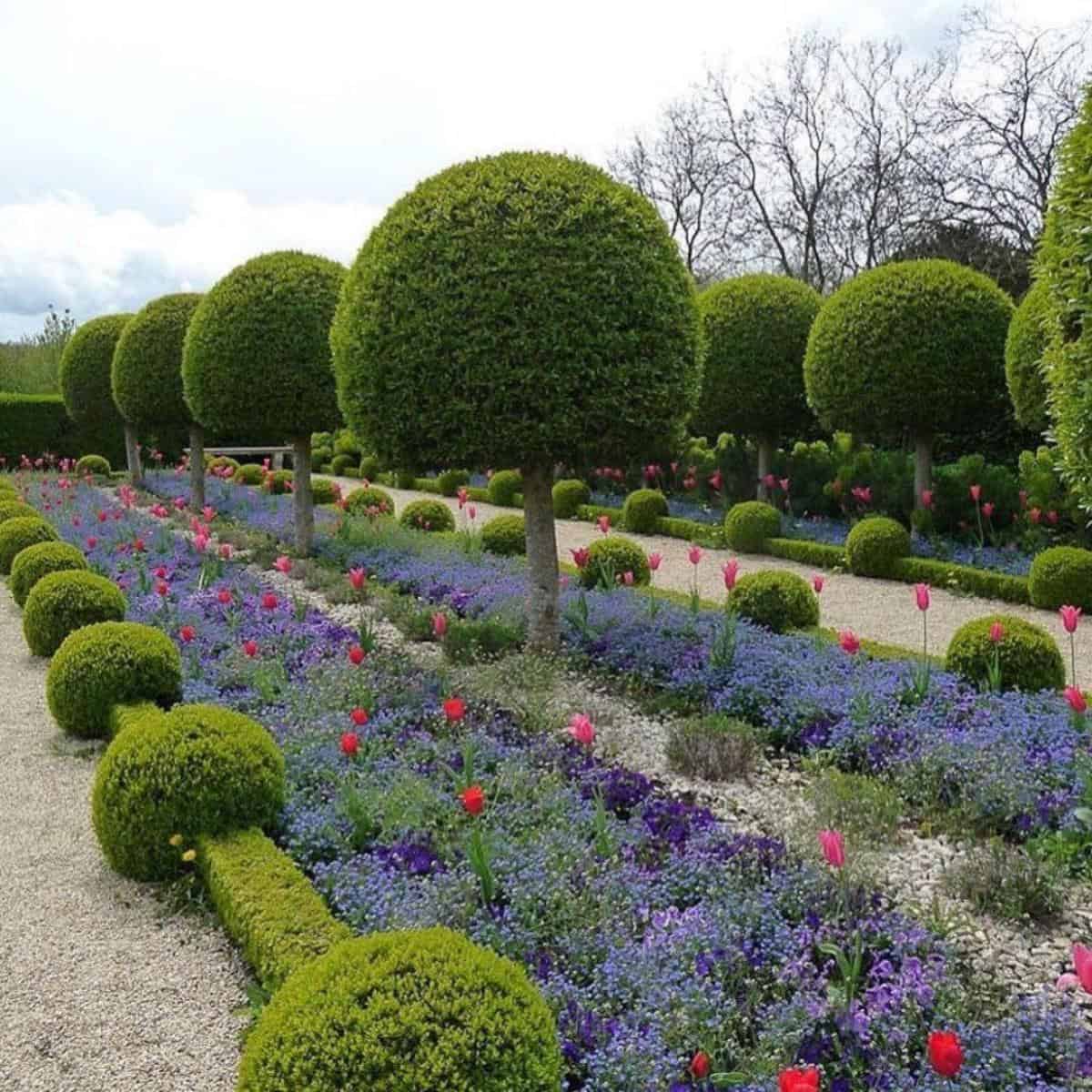 Topiary Trees and Bushes - The Lost Art of Trimming and Pruning