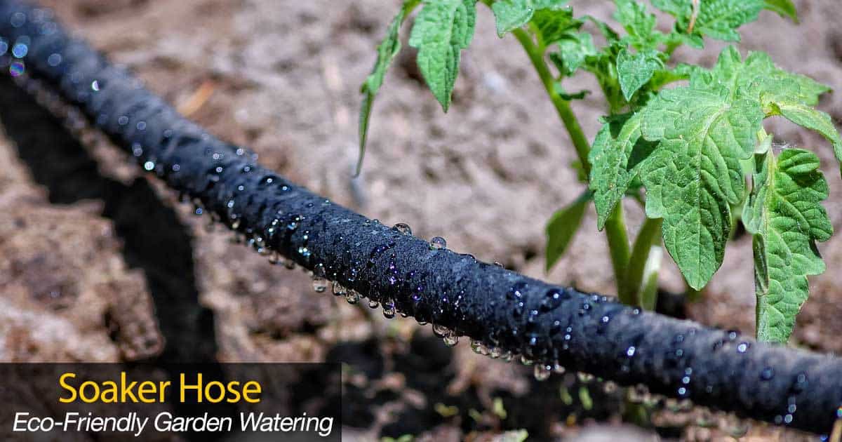 Soaker Hose: What Are They, How To Use A Drip Hose In The ...