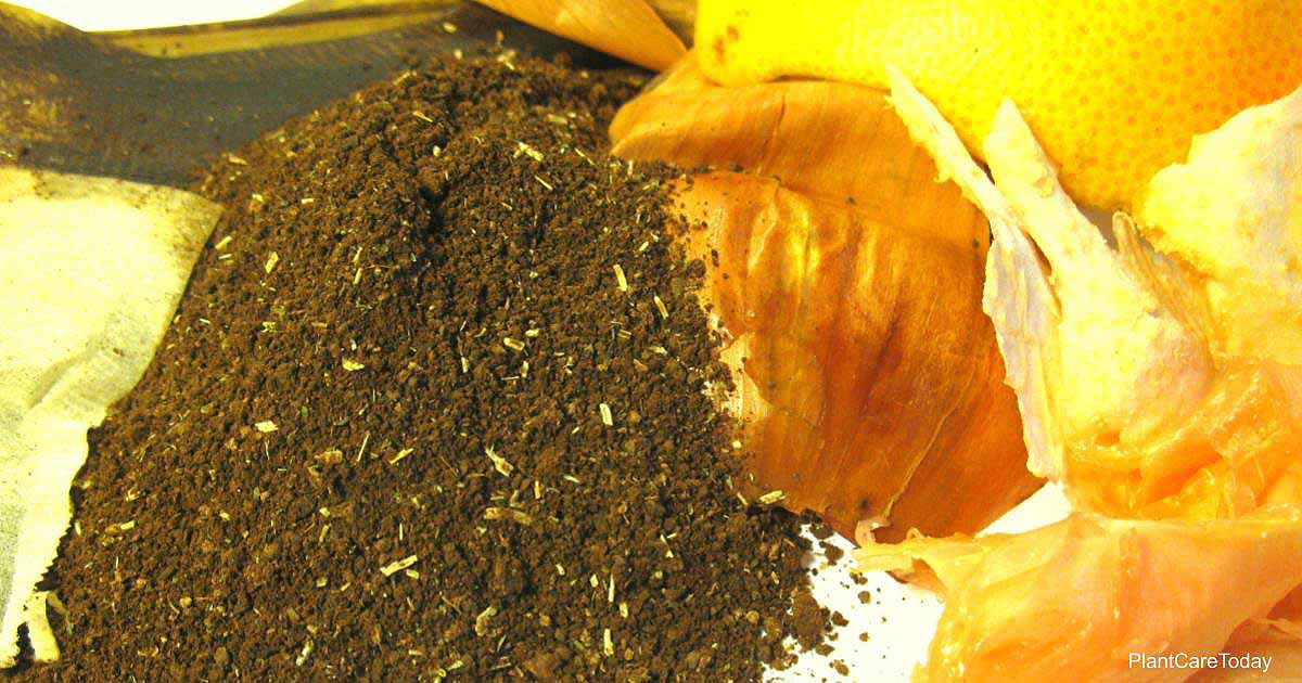 Soil Conditioner: What Is It & Why Do You Need It?