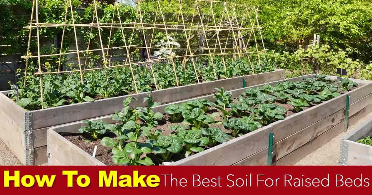 Homemade Potting Soil Ingredients Soil For Raised Beds How To Make The Best Raised Bed Soil 