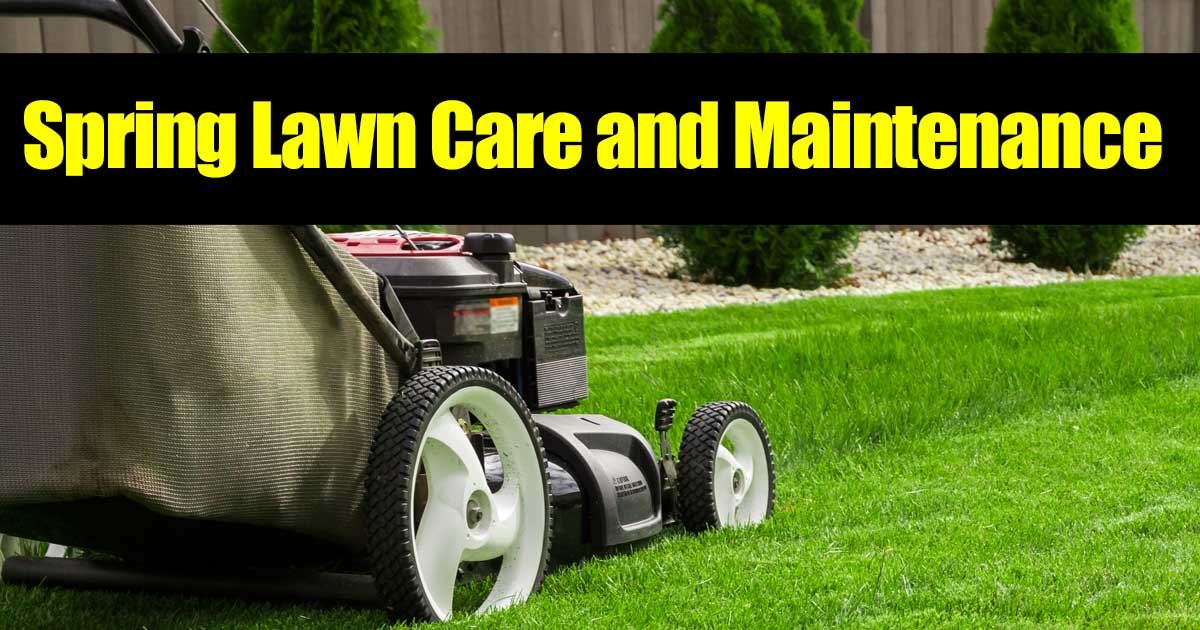 spring lawn care