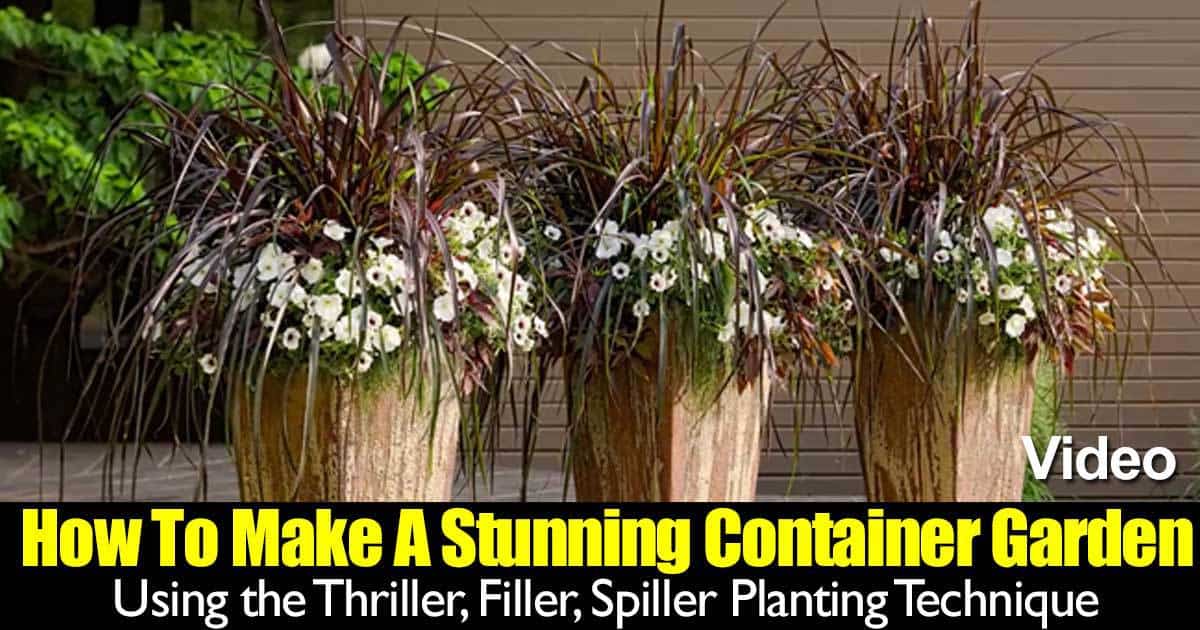 Thriller, Filler, and Spiller And Other Helpful Garden Tips