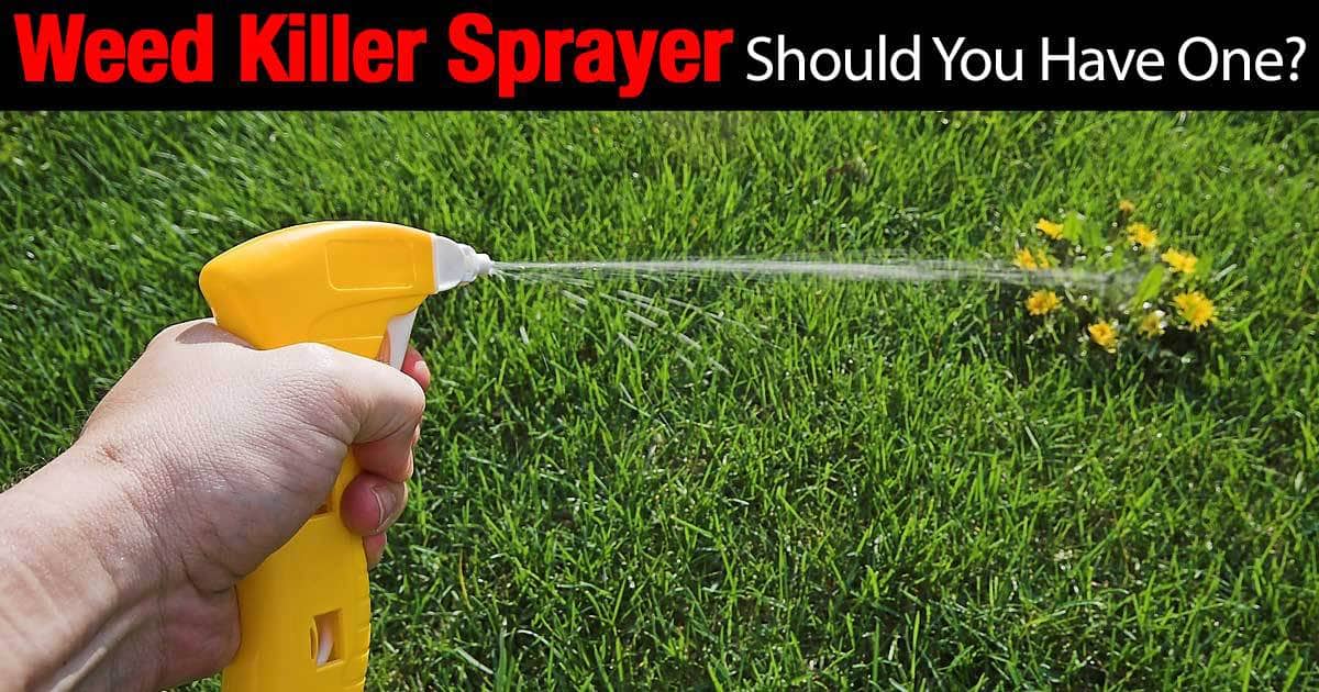 Lawn deals weed sprayer