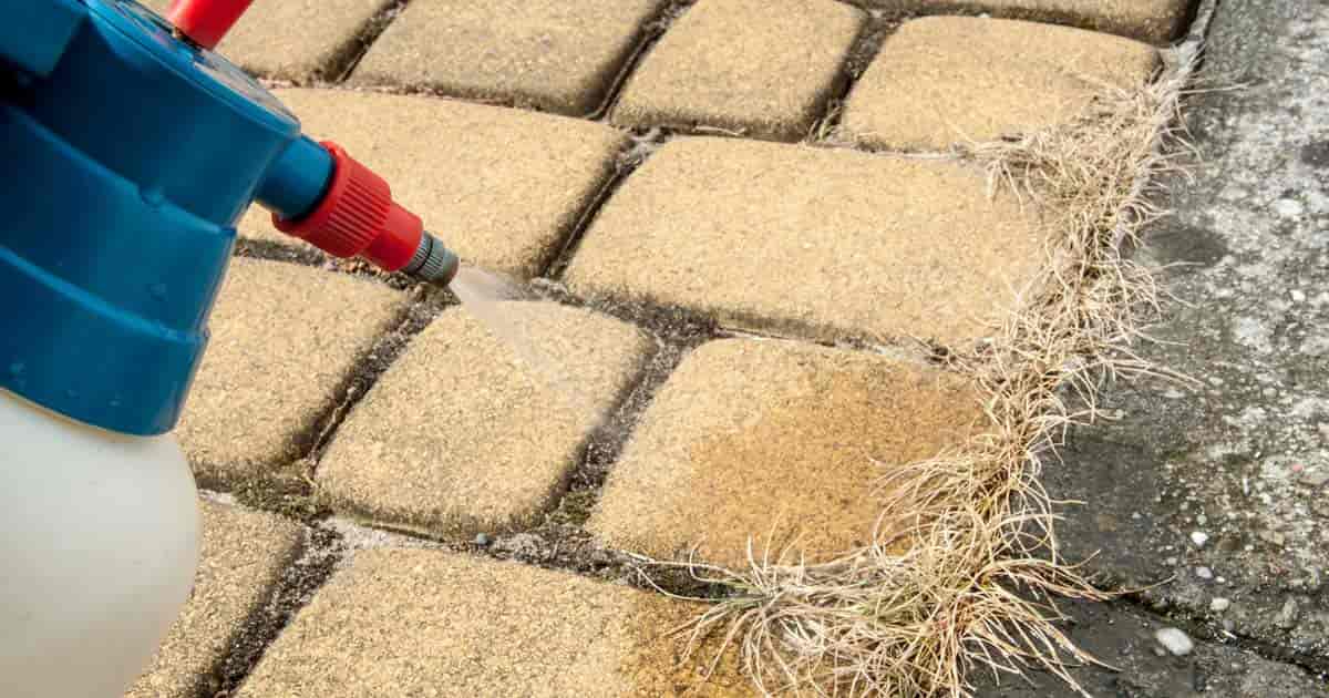 Weed killing spray