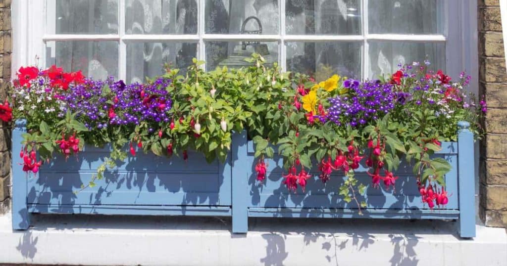 Window Box Liners Why, When, How To Use Flower Box Inserts